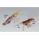 VINILO SAVAGE TPE FLY SHRIMP 5cm 